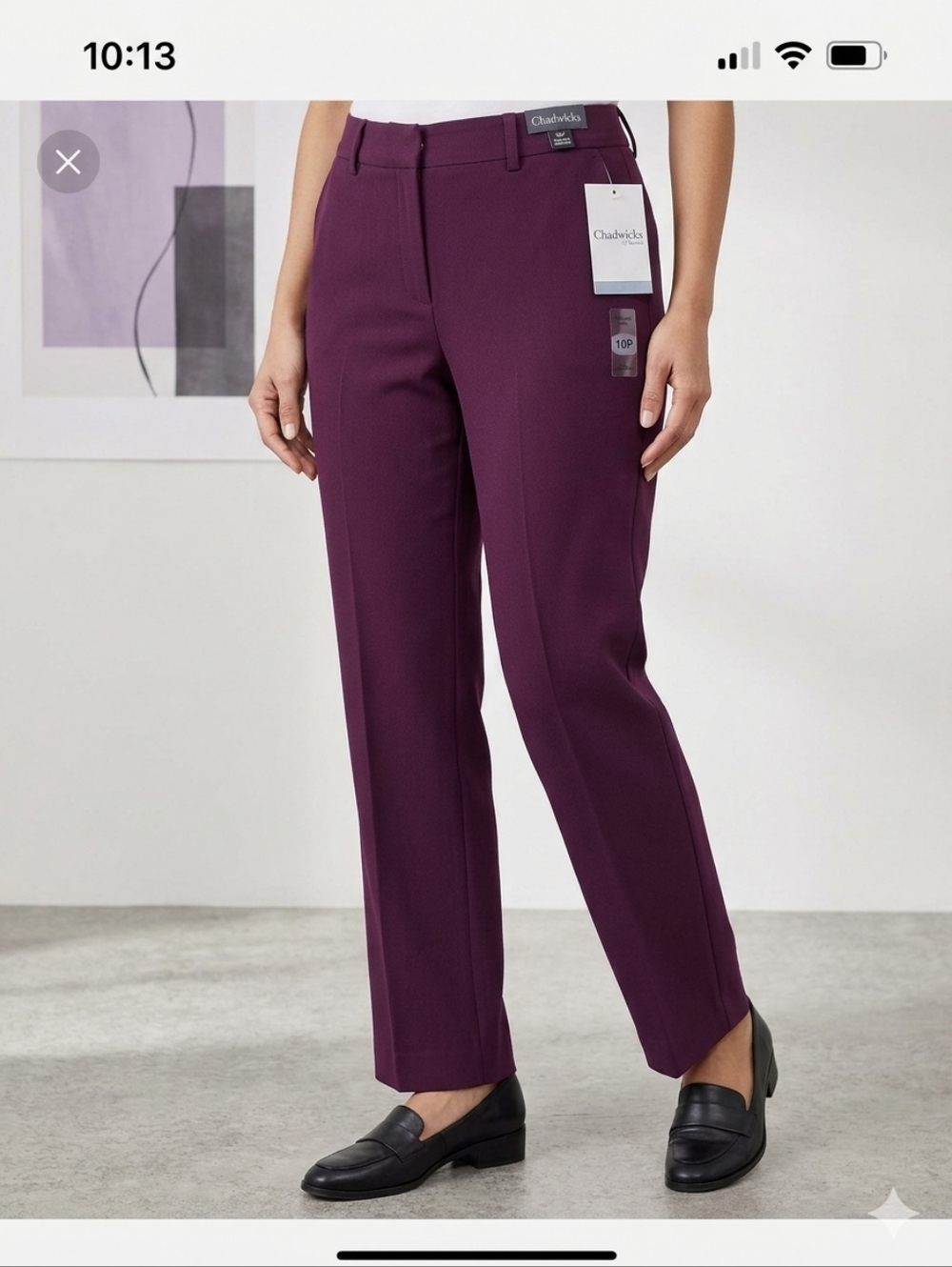 Chadwick Slacks 10Petite